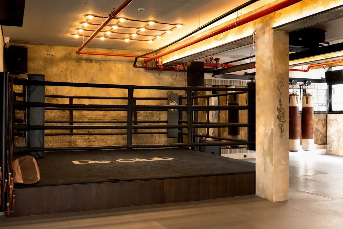 VUCA boxing ring